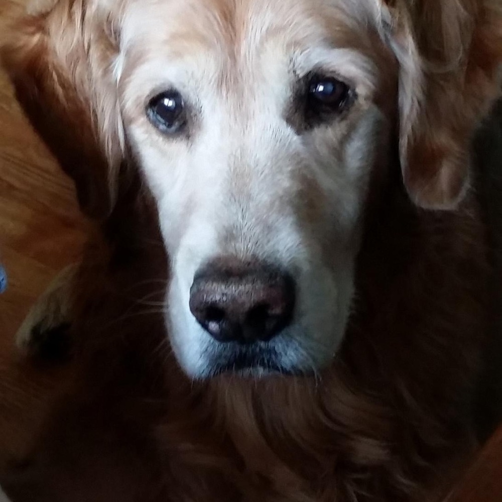 Meet your Posher, Janelle